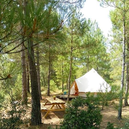 Forest Days Naves  Exterior photo