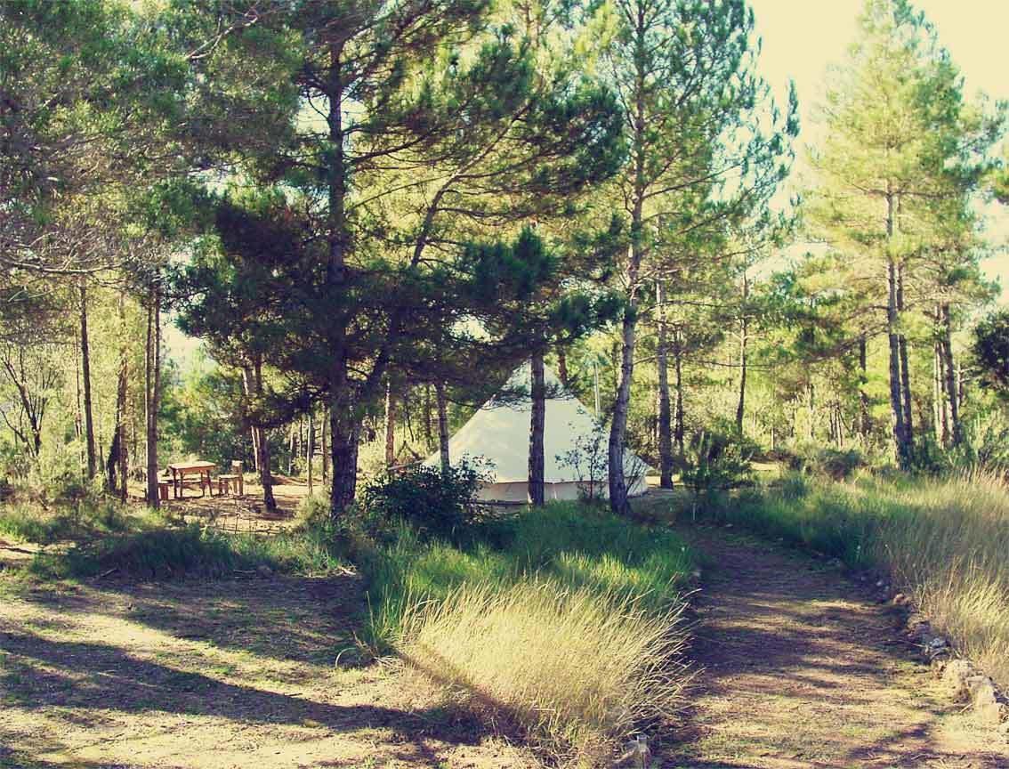 Forest Days Naves  Exterior photo